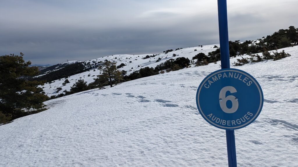 PXL_20240317_090759063-1024x576 Top 10 des pistes bleues dans les Alpes Maritimes