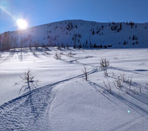 PXL_20250126_084618750.MP_-300x264 En Direct !