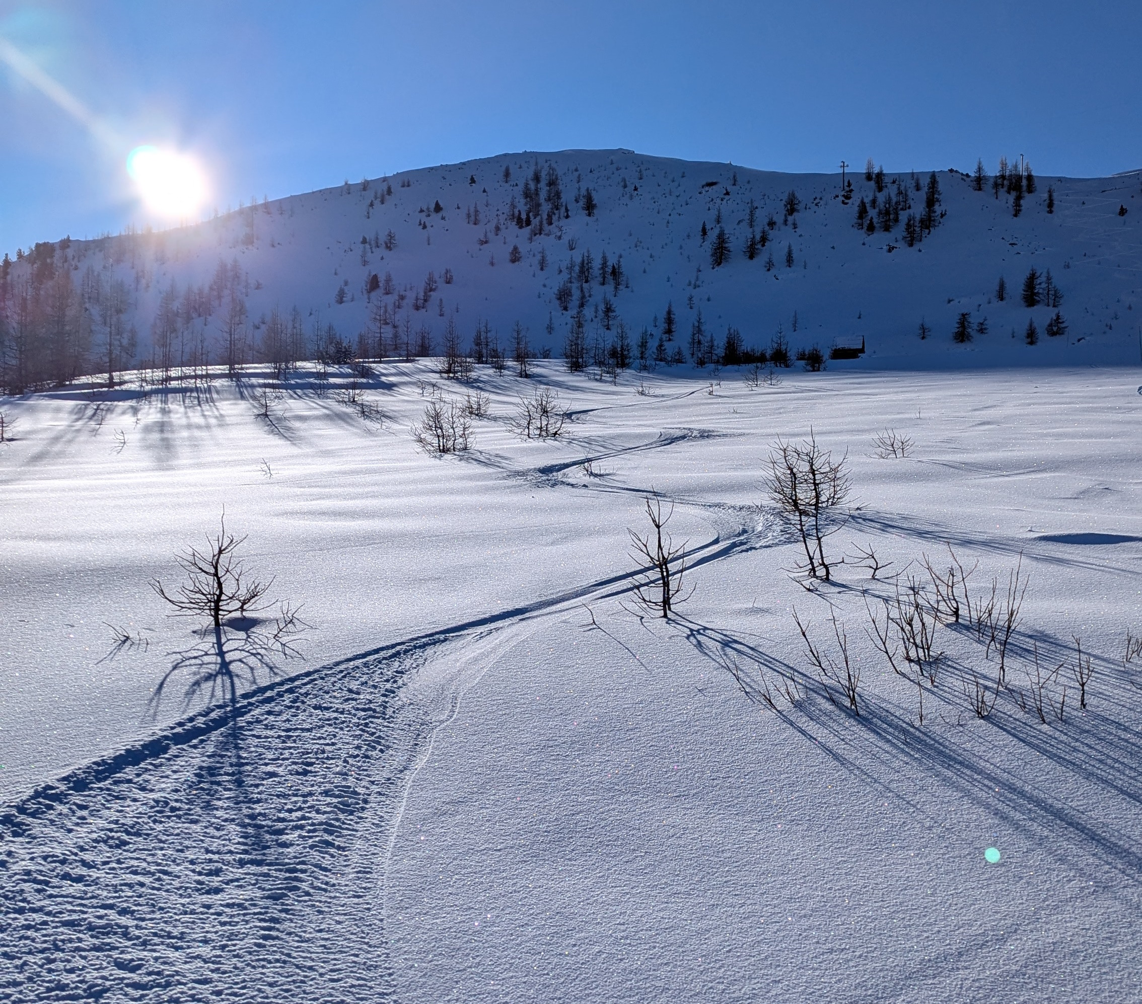 neige fraiche sur le secteur du plateau isola 2000