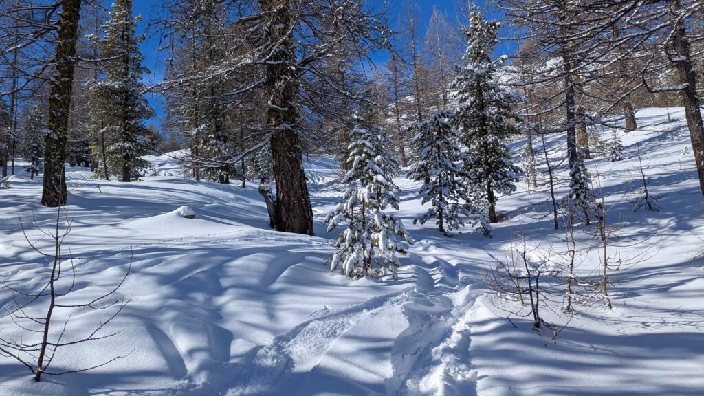 PXL_20250126_101359092.MP_-1024x576 Isola 2000 : Un week-end renversé