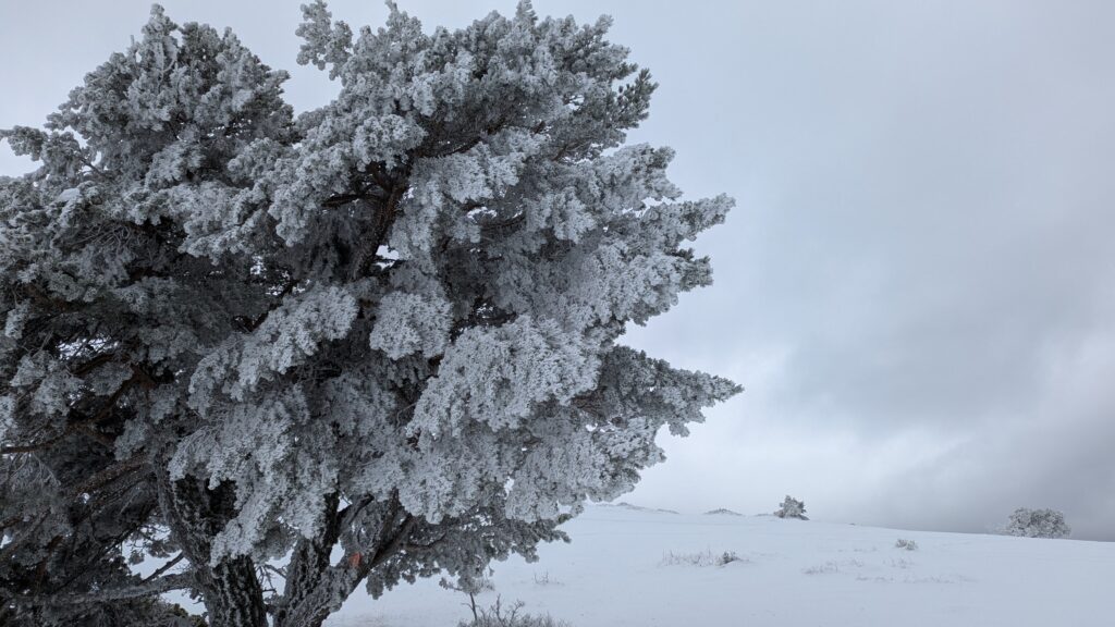 PXL_20250208_092157328-1024x576 L'Audibergue - Des descentes pleines d'émotions