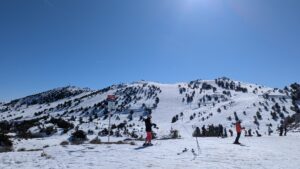 PXL_20250220_102358725-300x169 En Direct !