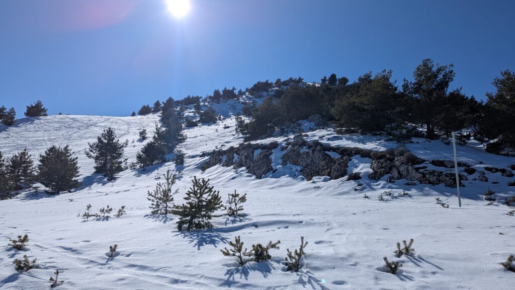 PXL_20250220_125507277-1024x576 Gréolières : Au dessus des nuages