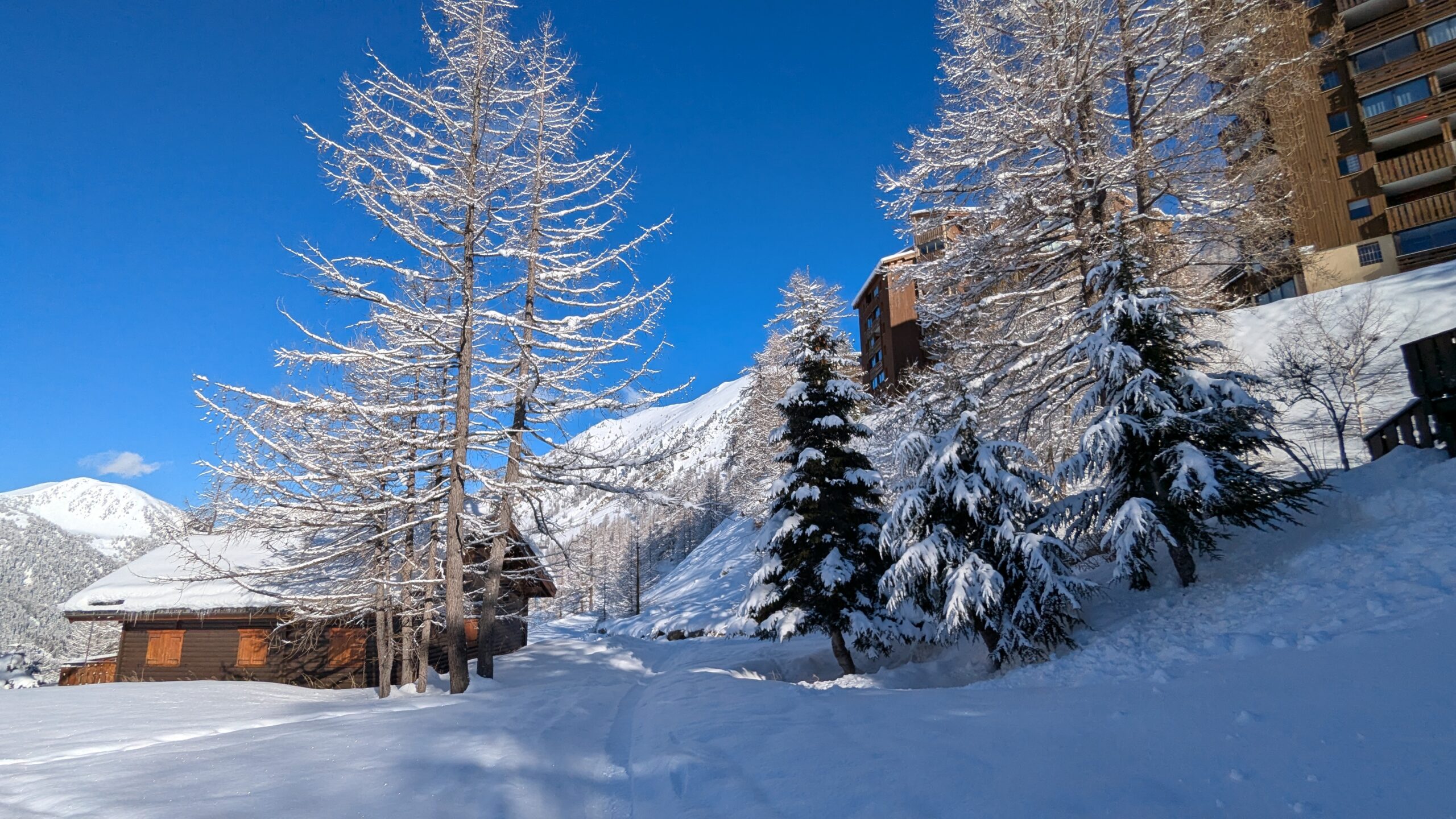 isola 2000 le 16/03/25