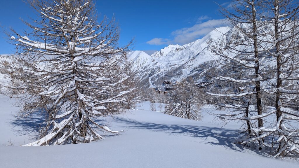 PXL_20250316_083542718-1024x576 Isola 2000 : Magnifique !