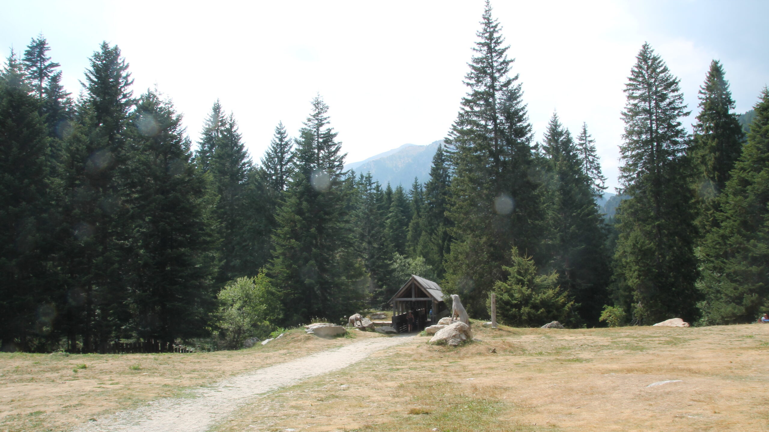 IMG_1377-scaled-e1752698387613 Le Boréon : Entre résilience et reconstruction