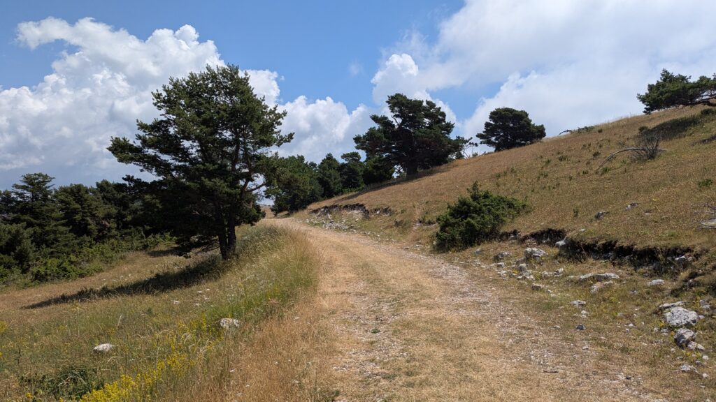PXL_20250705_102935038-1024x576 [Test] VTT DH - La Charbonnière : la nouvelle piste pour ultra débutants à La Moulière