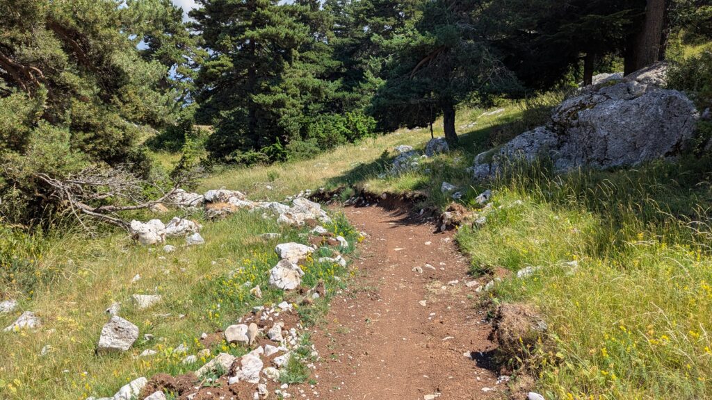 PXL_20250705_103143749-1024x576 [Test] VTT DH - La Charbonnière : la nouvelle piste pour ultra débutants à La Moulière