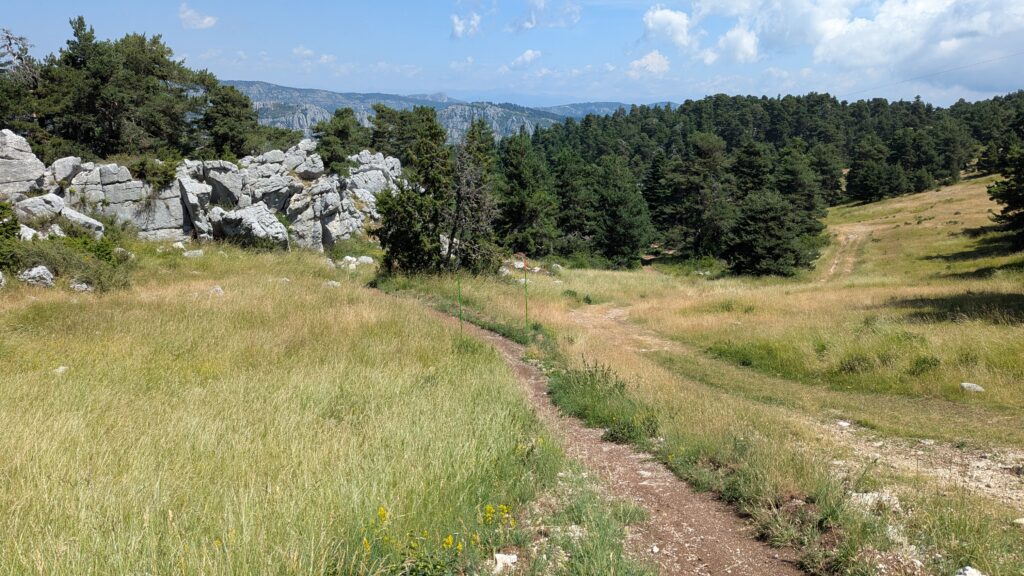 PXL_20250705_103341191-1024x576 [Test] VTT DH - La Charbonnière : la nouvelle piste pour ultra débutants à La Moulière