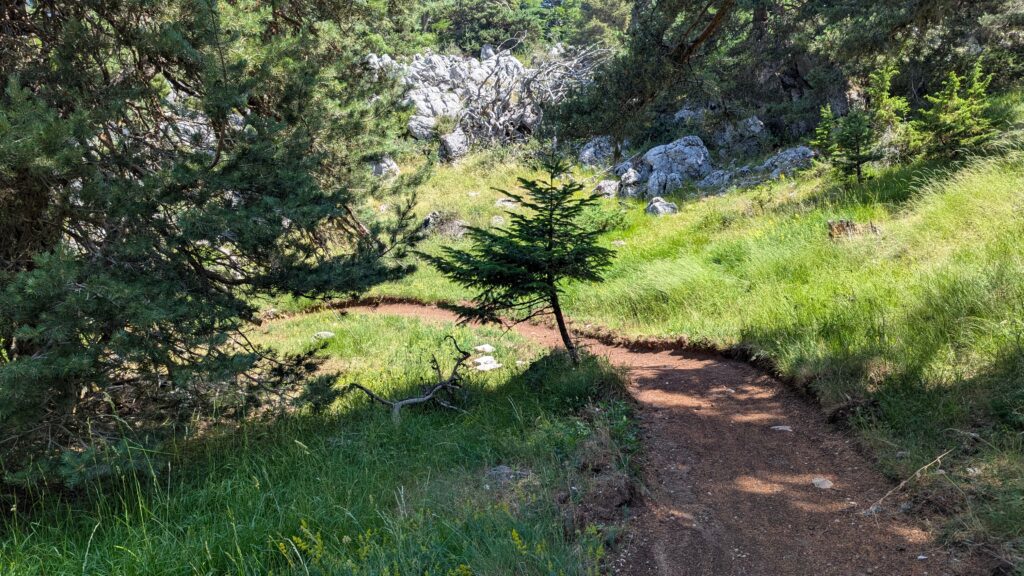 PXL_20250705_103527369-1024x576 [Test] VTT DH - La Charbonnière : la nouvelle piste pour ultra débutants à La Moulière