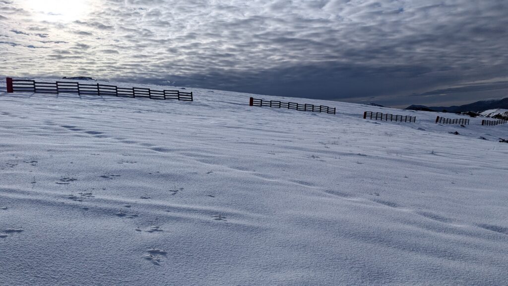 PXL_20260131_144640592-1024x576 L'Audibergue : Le bon plan du week-end
