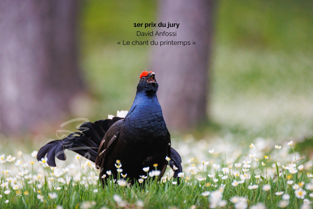 image-8-1024x683 Isola 2000 : Ski test Stockli et jour de neige